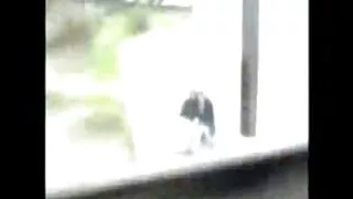Ragveida HEGR nekaunīgi Dziļurbuma Matains Brunete CHAP