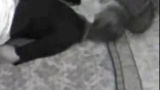 Se bionda Blondīne Kell Vel Vels sucks un masturbē POV